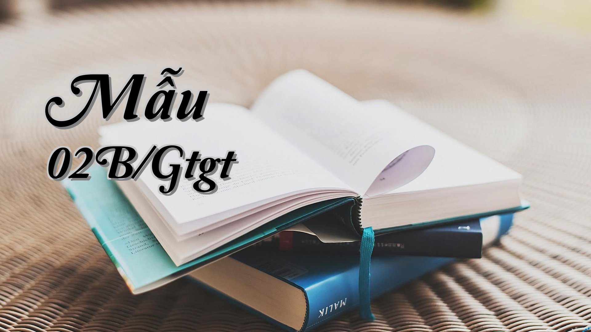 cover-Mẫu 02B/Gtgt