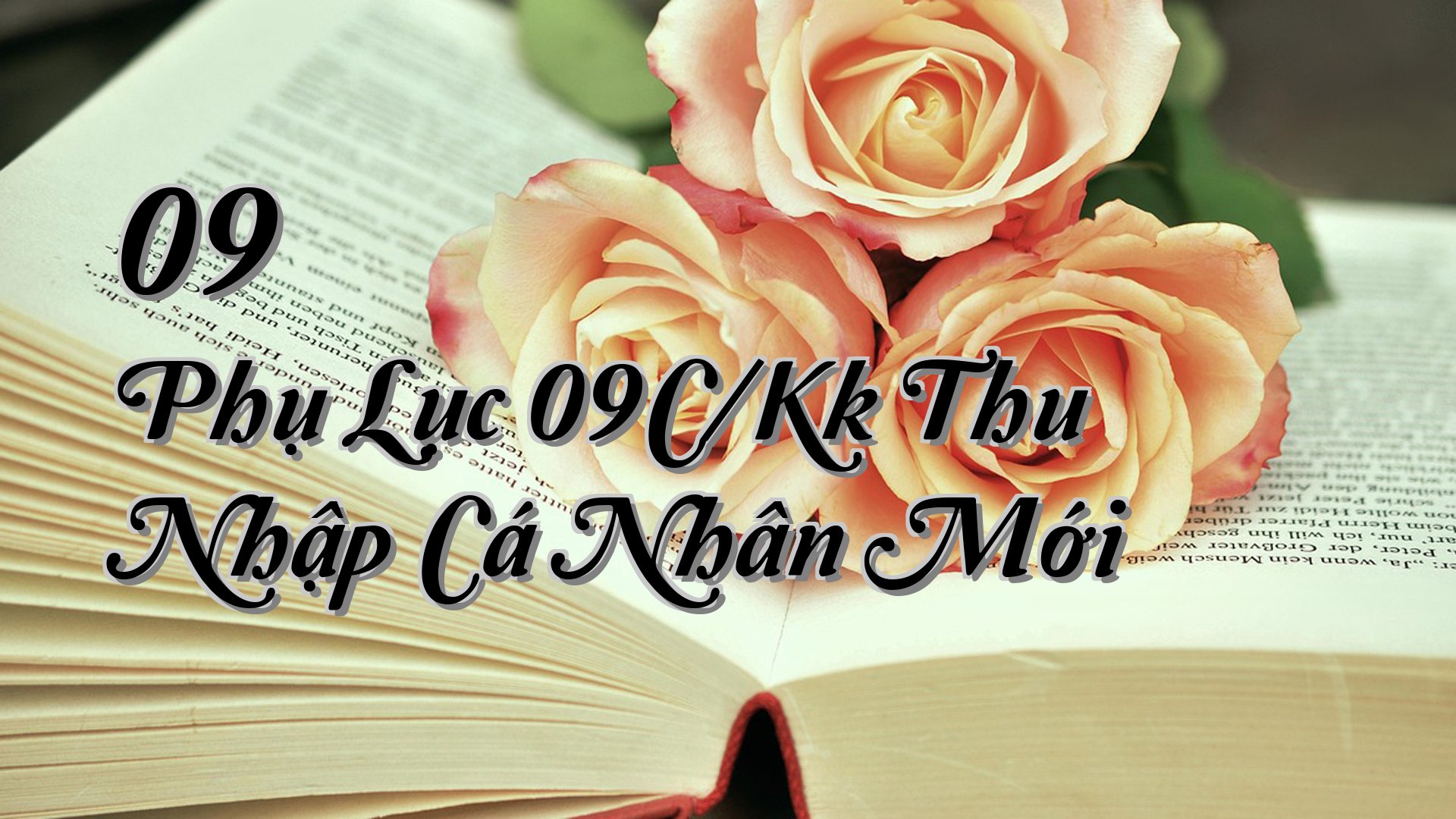 cover-09 Phụ Lục 09C/Kk Thu Nhập Cá Nhân Mới