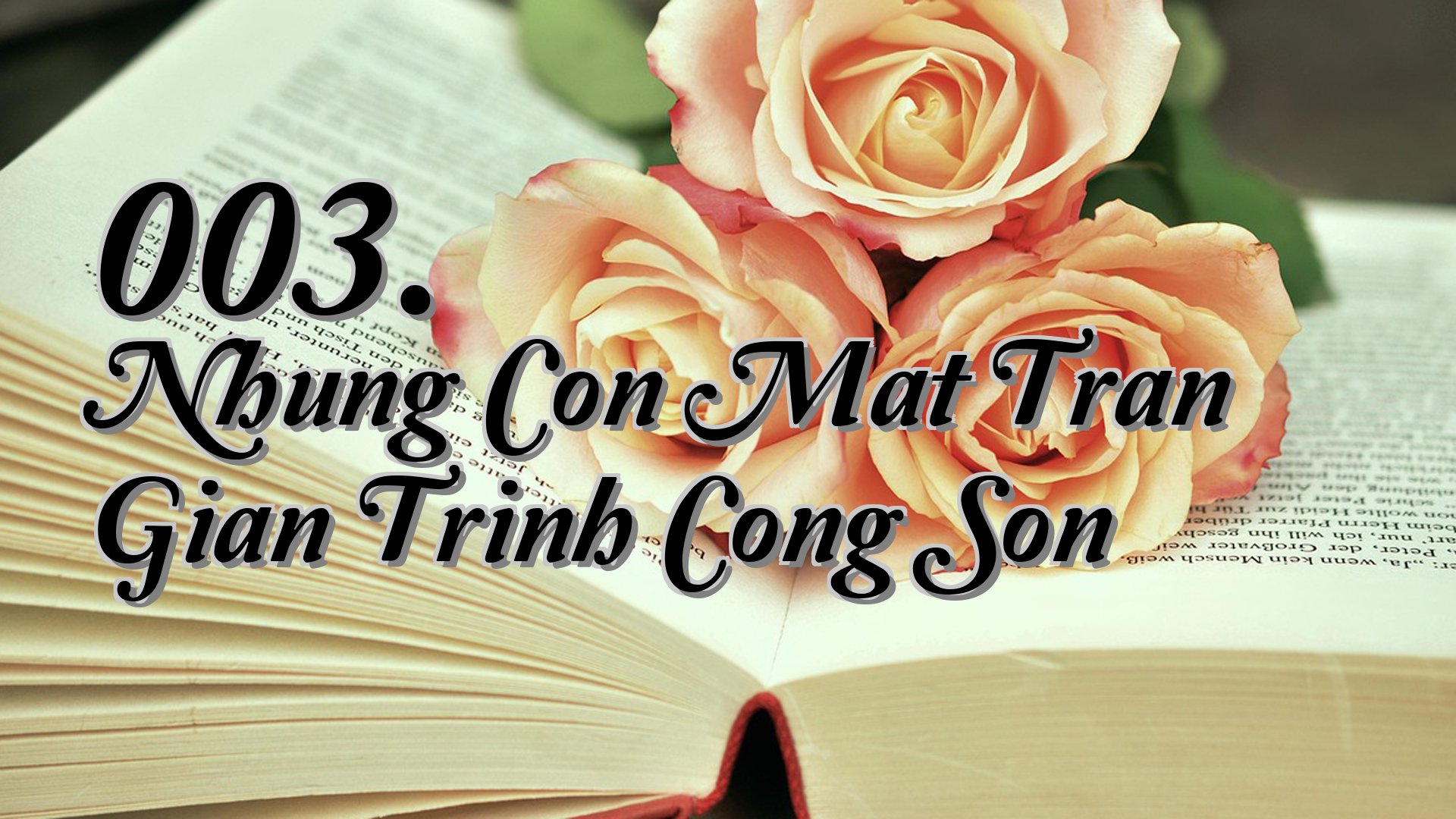 cover-003. Nhung Con Mat Tran Gian Trinh Cong Son