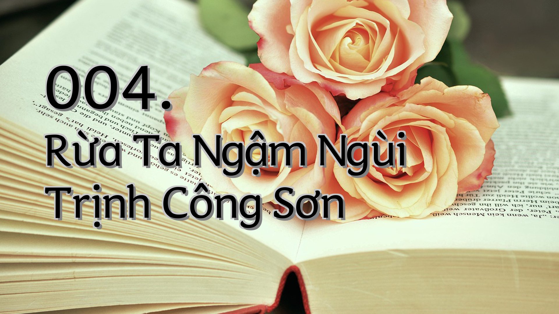 cover-004. Rừa Ta Ngậm Ngùi Trịnh Công Sơn