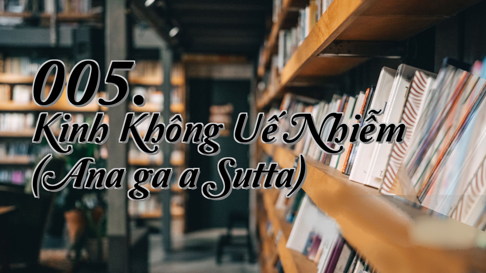 cover-005. Kinh Không Uế Nhiễm (Anaṅgaṇa Sutta)