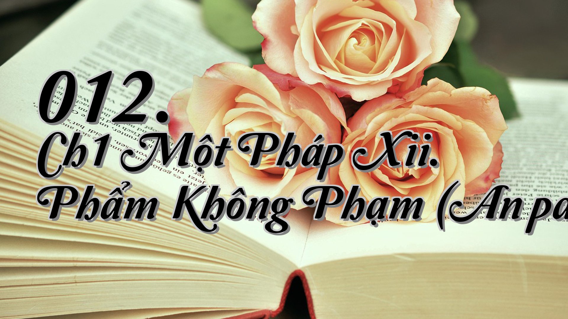 cover-012. Ch1 Một Pháp Xii. Phẩm Không Phạm (Anāpattivagga)