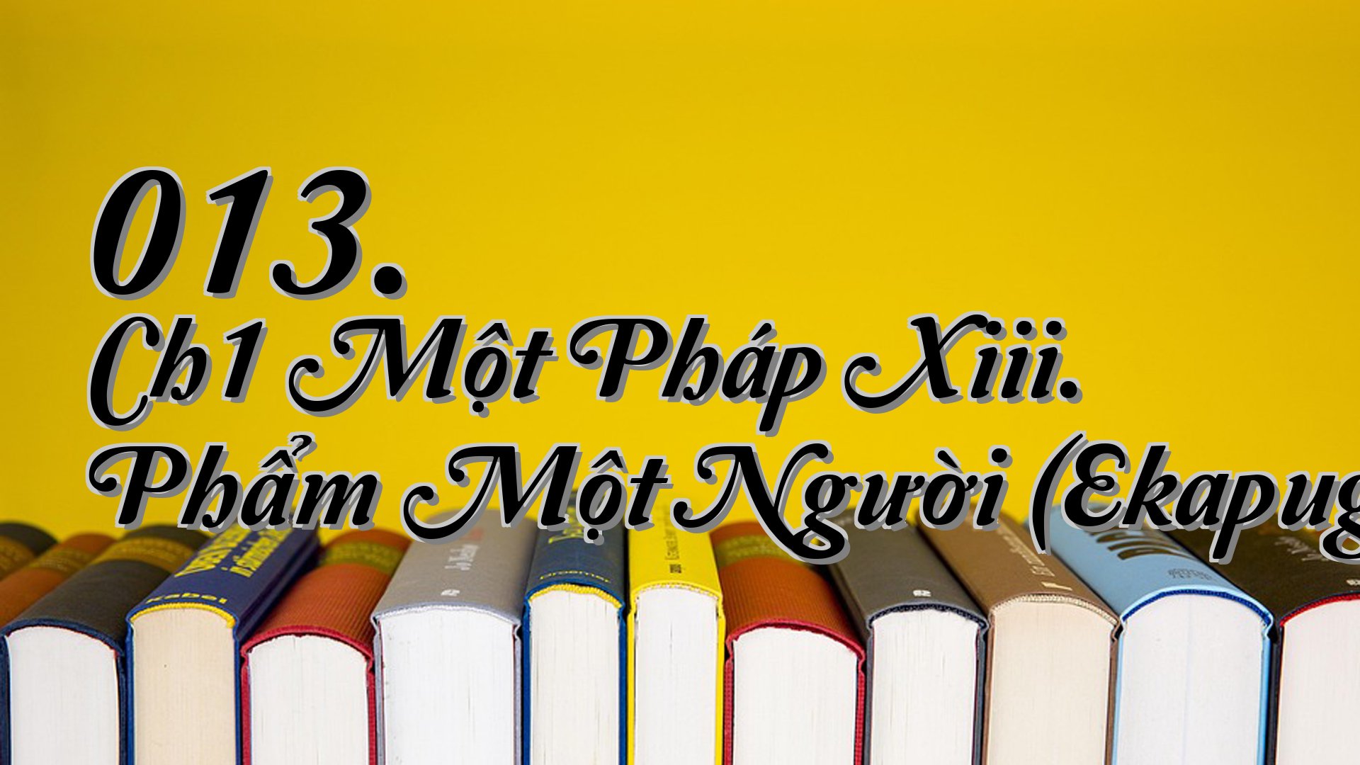 cover-013. Ch1 Một Pháp Xiii. Phẩm Một Người (Ekapuggalavagga)