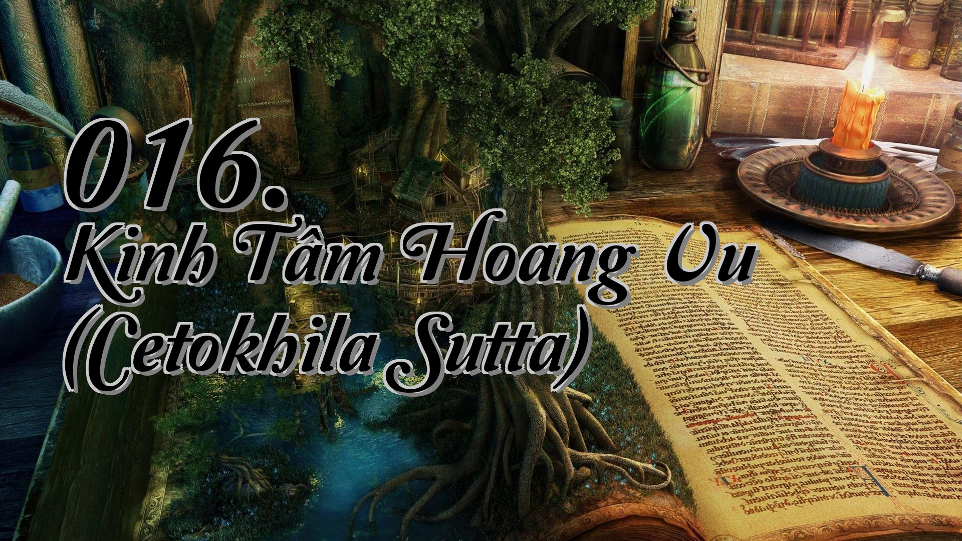 cover-016. Kinh Tâm Hoang Vu (Cetokhila Sutta)