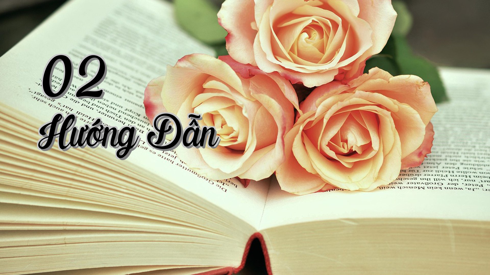 cover-02 Hướng Dẫn