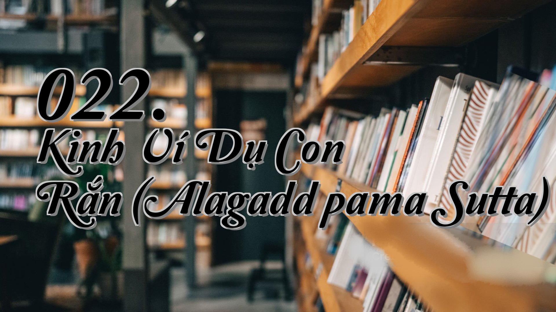 cover-022. Kinh Ví Dụ Con Rắn (Alagaddūpama Sutta)