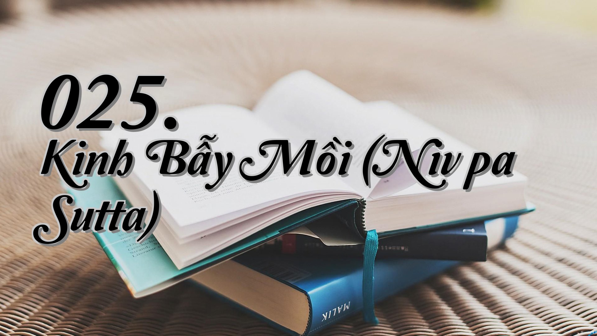 cover-025. Kinh Bẫy Mồi (Nivāpa Sutta)