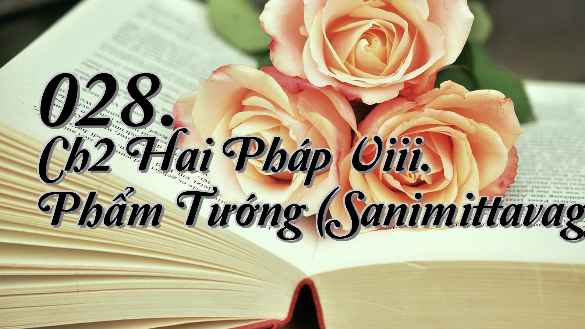 cover-028. Ch2 Hai Pháp Viii. Phẩm Tướng (Sanimittavagga)