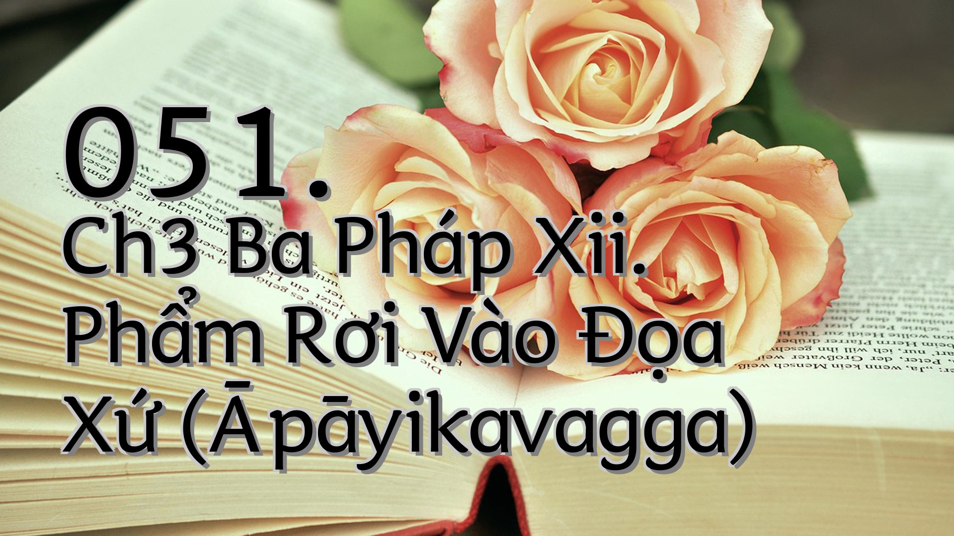 cover-051. Ch3 Ba Pháp Xii. Phẩm Rơi Vào Đọa Xứ (Āpāyikavagga)