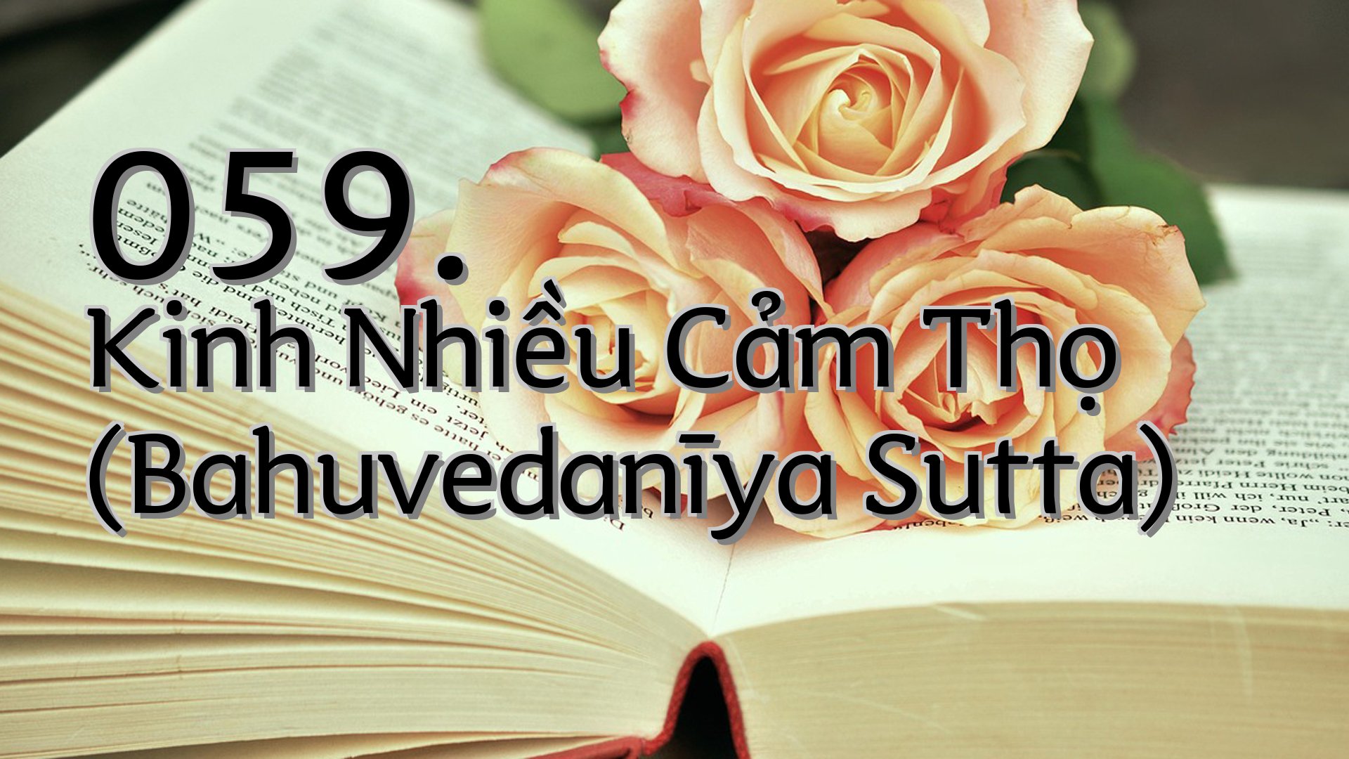 cover-059. Kinh Nhiều Cảm Thọ (Bahuvedanīya Sutta)