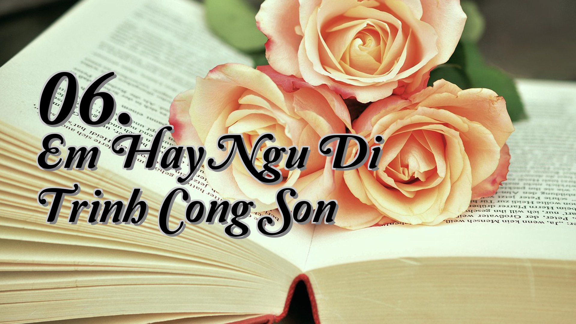 cover-06. Em Hay Ngu Di Trinh Cong Son
