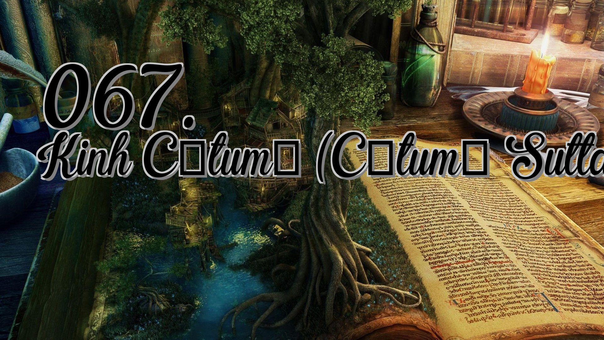 cover-067. Kinh Cātumā (Cātumā Sutta)