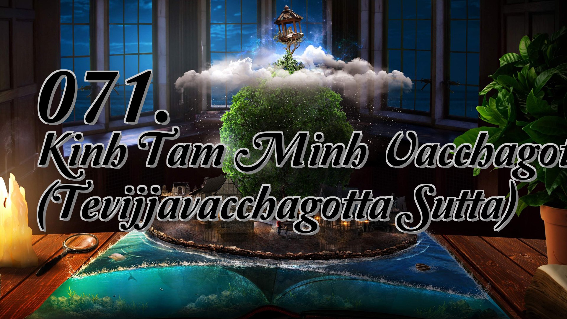 cover-071. Kinh Tam Minh Vacchagotta (Tevijjavacchagotta Sutta)