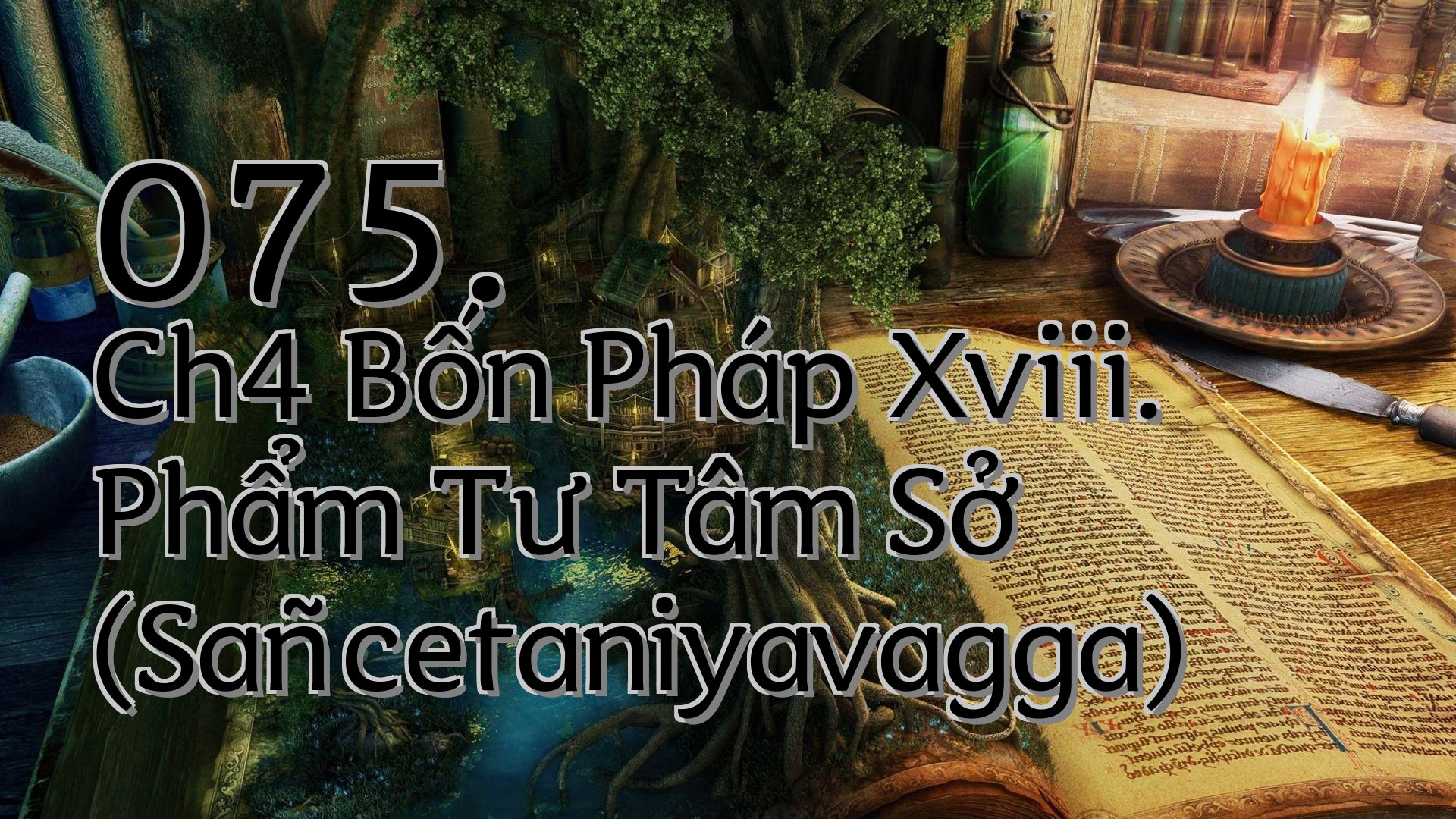 cover-075. Ch4 Bốn Pháp Xviii. Phẩm Tư Tâm Sở (Sañcetaniyavagga)