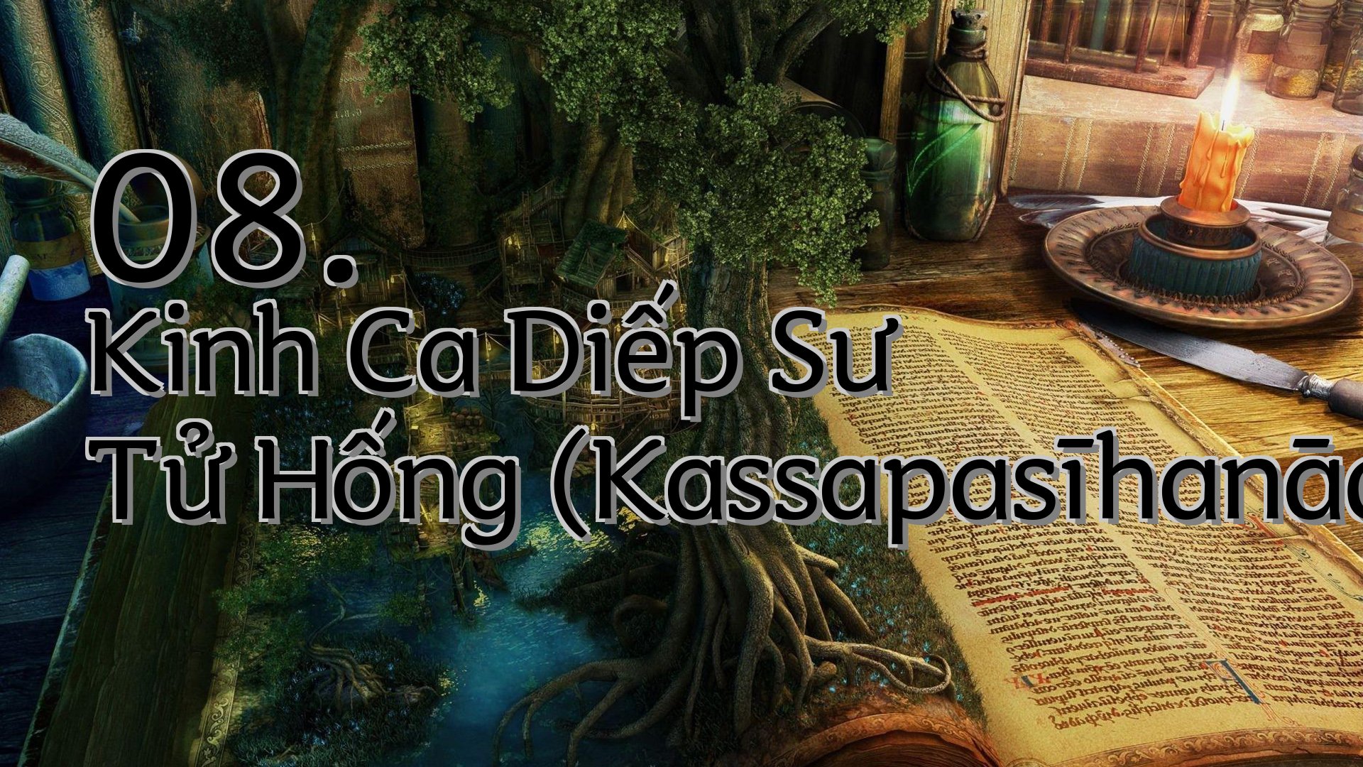 cover-08. Kinh Ca Diếp Sư Tử Hống (Kassapasīhanāda Sutta)