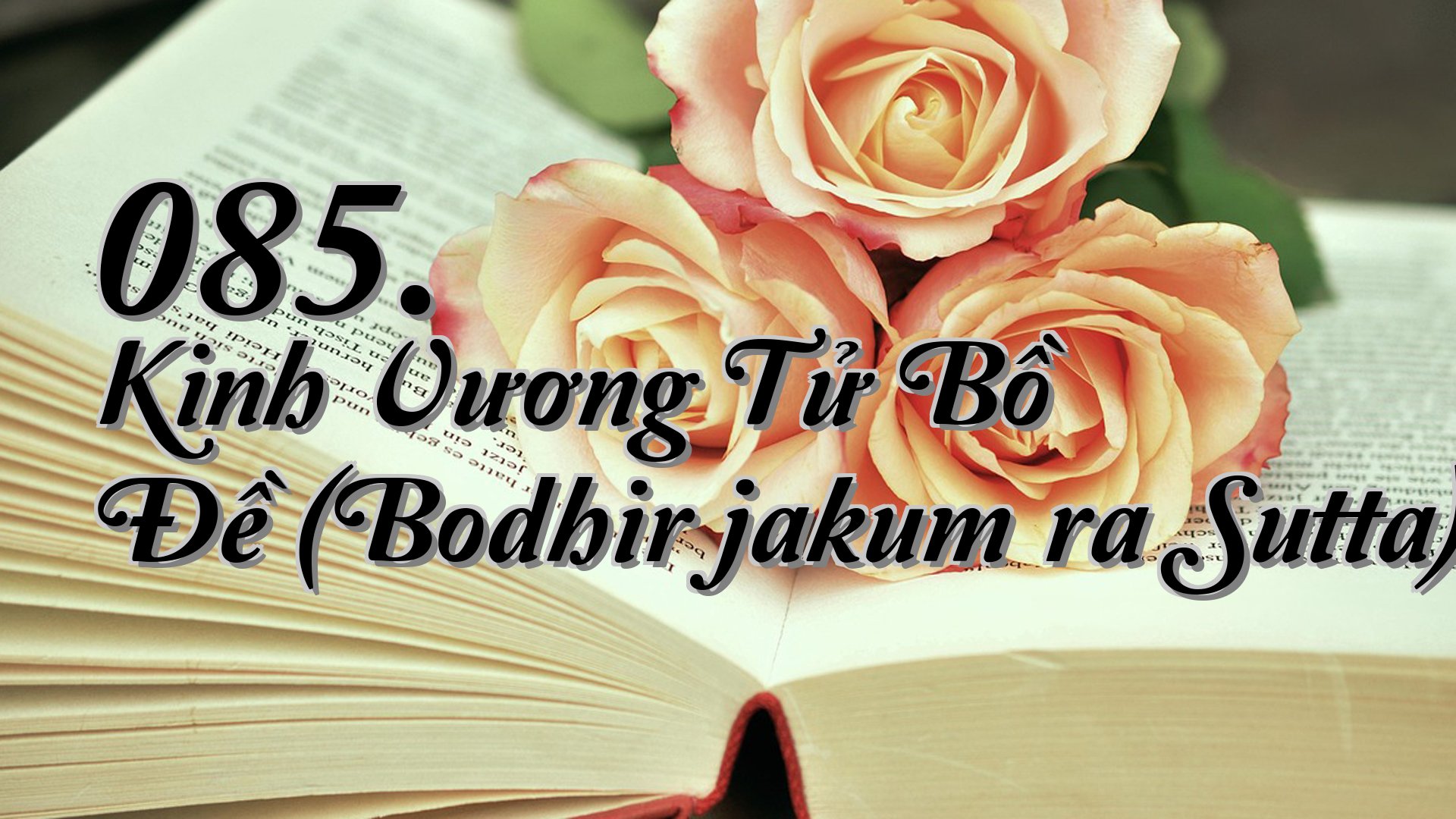cover-085. Kinh Vương Tử Bồ Đề (Bodhirājakumāra Sutta)