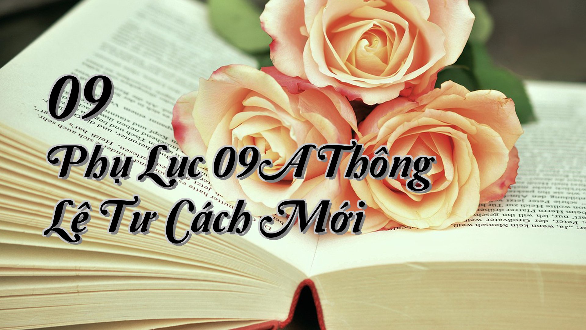 cover-09 Phụ Lục 09A Thông Lệ Tư Cách Mới