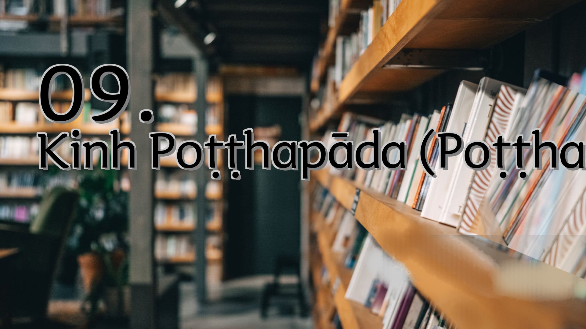 cover-09. Kinh Poṭṭhapāda (Poṭṭhapāda Sutta)