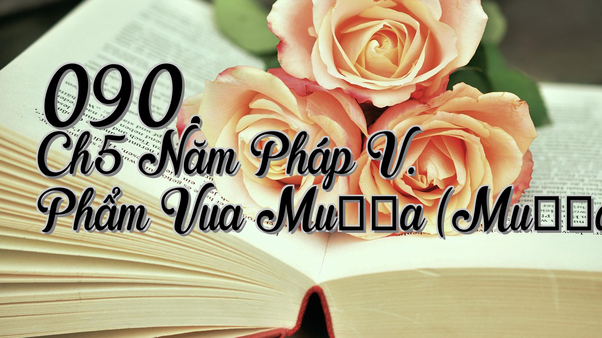 cover-090. Ch5 Năm Pháp V. Phẩm Vua Muṇḍa (Muṇḍarājavagga)