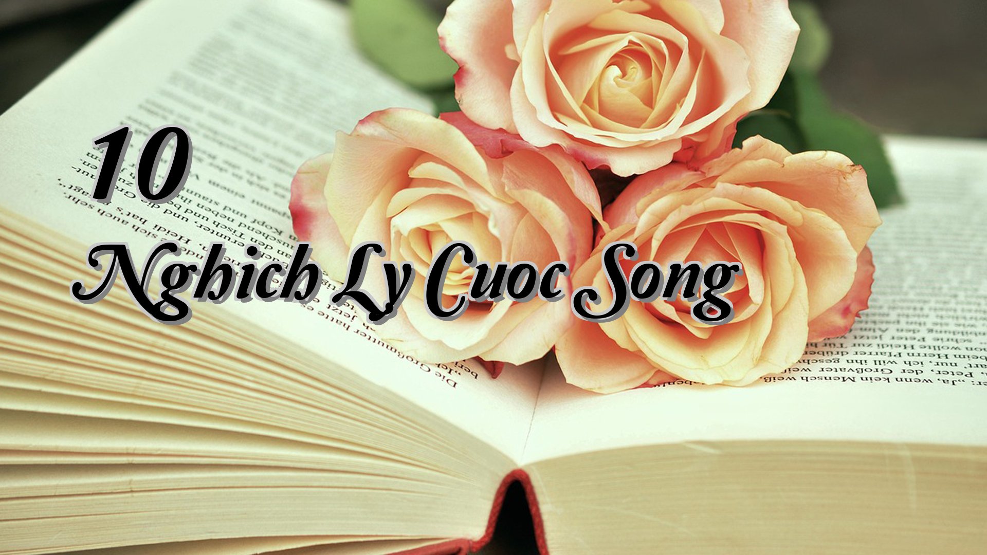 Cover image for 10 Nghich Ly Cuoc Song