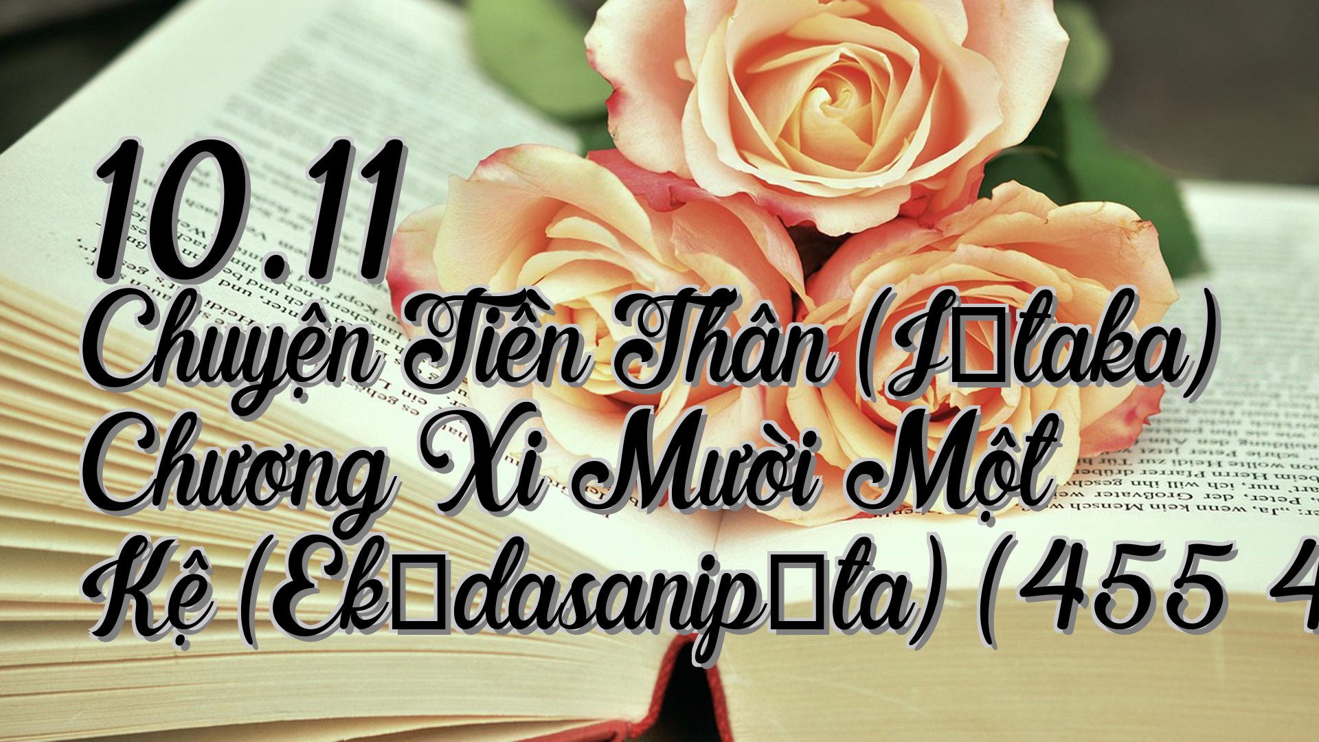 cover-10.11 Chuyện Tiền Thân (Jātaka) Chương Xi Mười Một Kệ (Ekādasanipāta) (455 463)