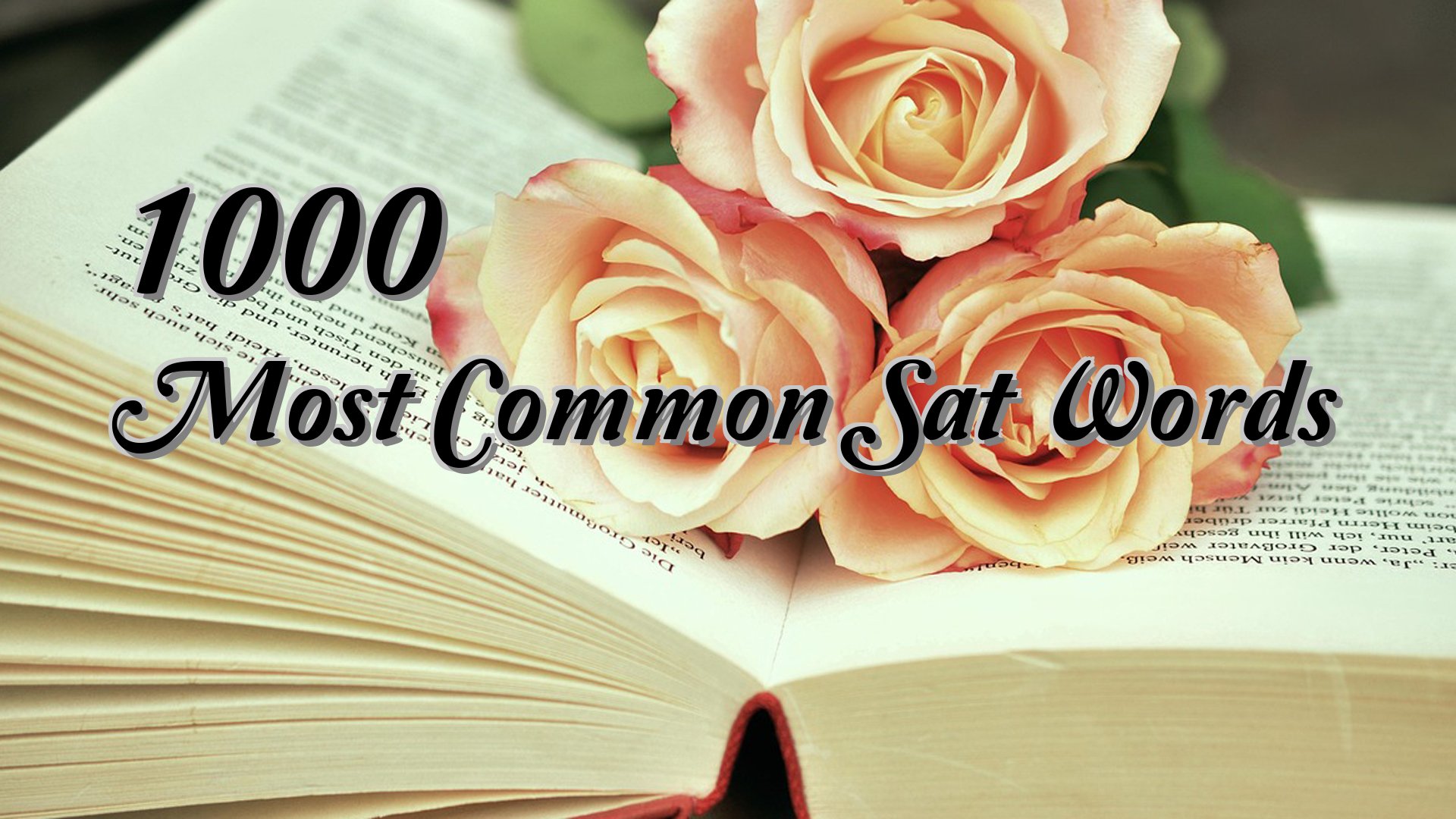 cover-1000 Most Common Sat Words