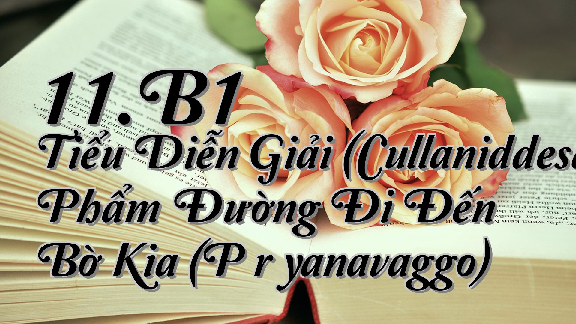 cover-11.B1 Tiểu Diễn Giải (Cullaniddesapāḷi) Phẩm Đường Đi Đến Bờ Kia (Pārāyanavaggo)