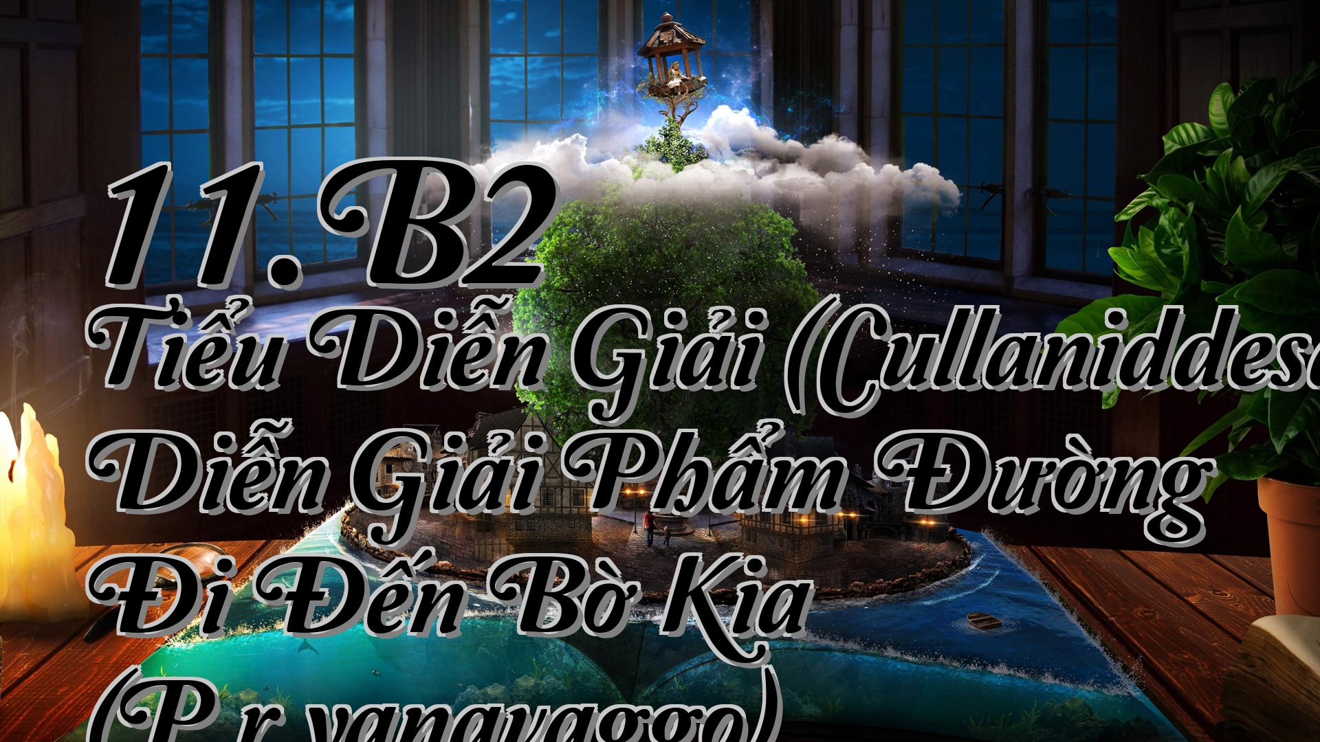 cover-11.B2 Tiểu Diễn Giải (Cullaniddesapāḷi) Diễn Giải Phẩm Đường Đi Đến Bờ Kia (Pārāyanavaggo)