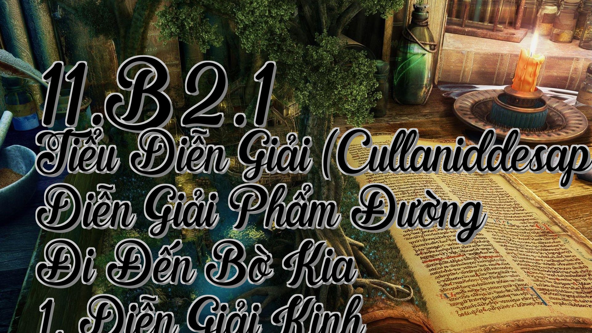 cover-11.B2.1 Tiểu Diễn Giải (Cullaniddesapāḷi) Diễn Giải Phẩm Đường Đi Đến Bờ Kia 1. Diễn Giải Kinh Ajita