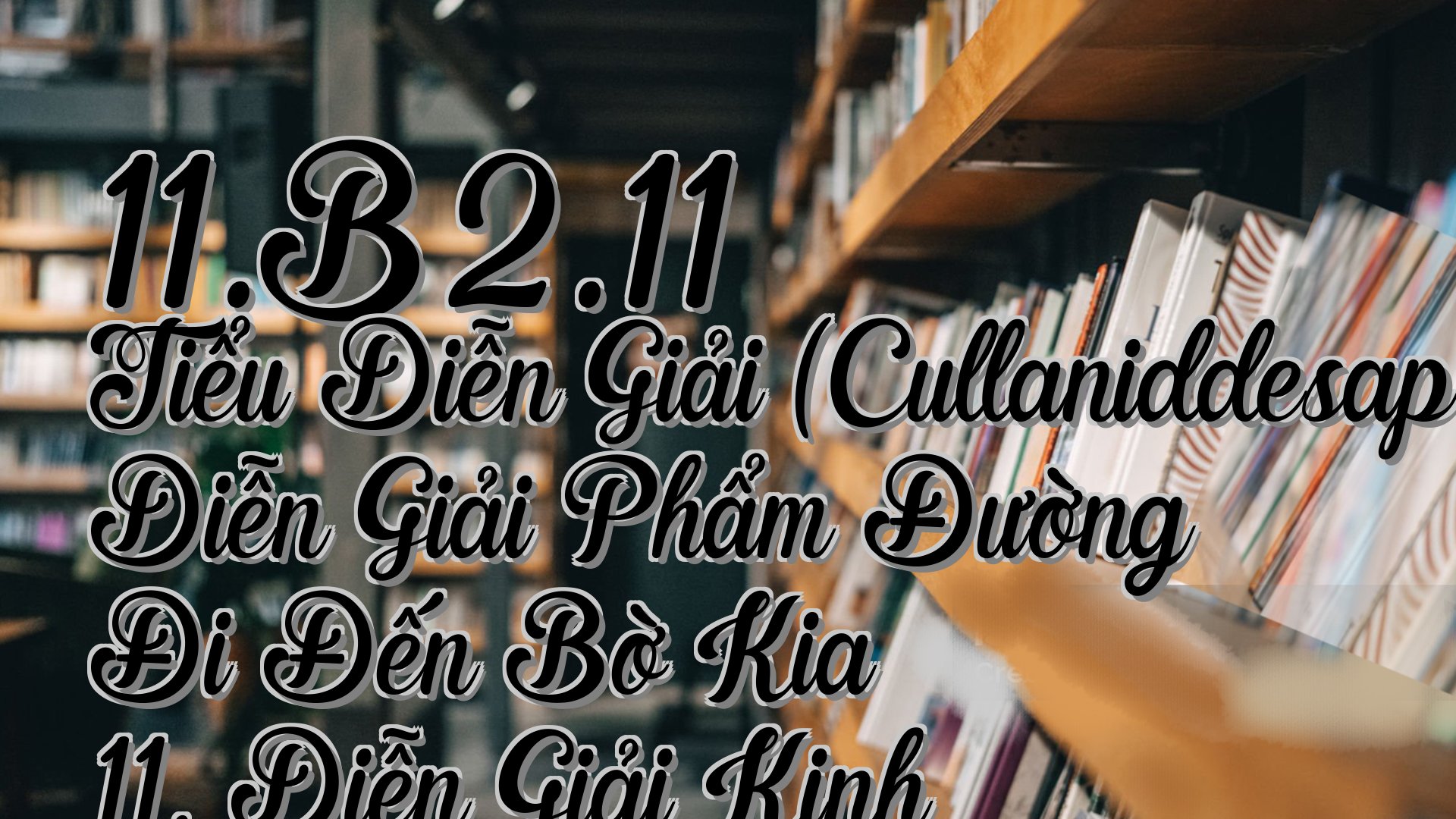 cover-11.B2.11 Tiểu Diễn Giải (Cullaniddesapāḷi) Diễn Giải Phẩm Đường Đi Đến Bờ Kia 11. Diễn Giải Kinh Jatukaṇṇī