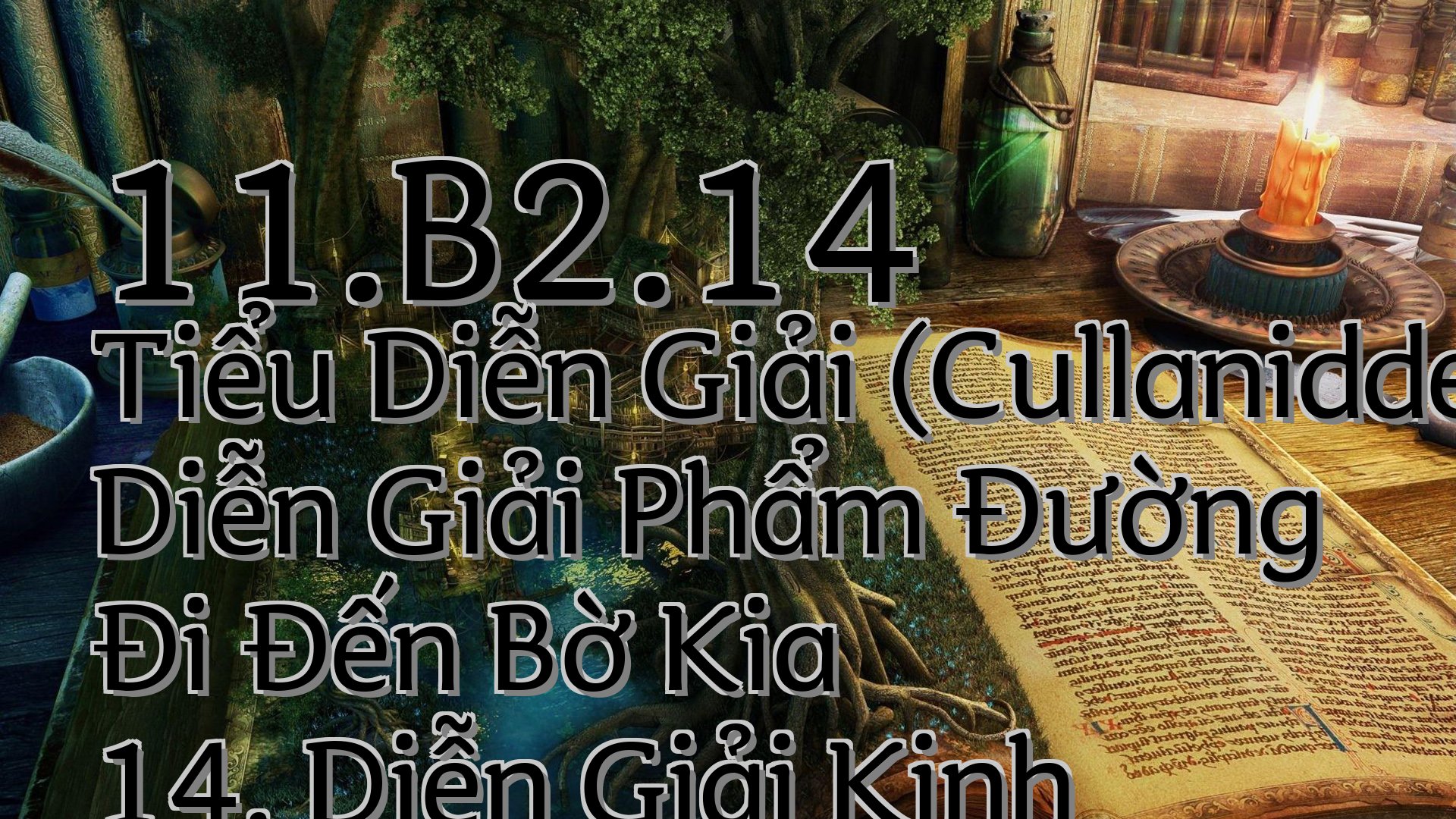 cover-11.B2.14 Tiểu Diễn Giải (Cullaniddesapāḷi) Diễn Giải Phẩm Đường Đi Đến Bờ Kia 14. Diễn Giải Kinh Posāla