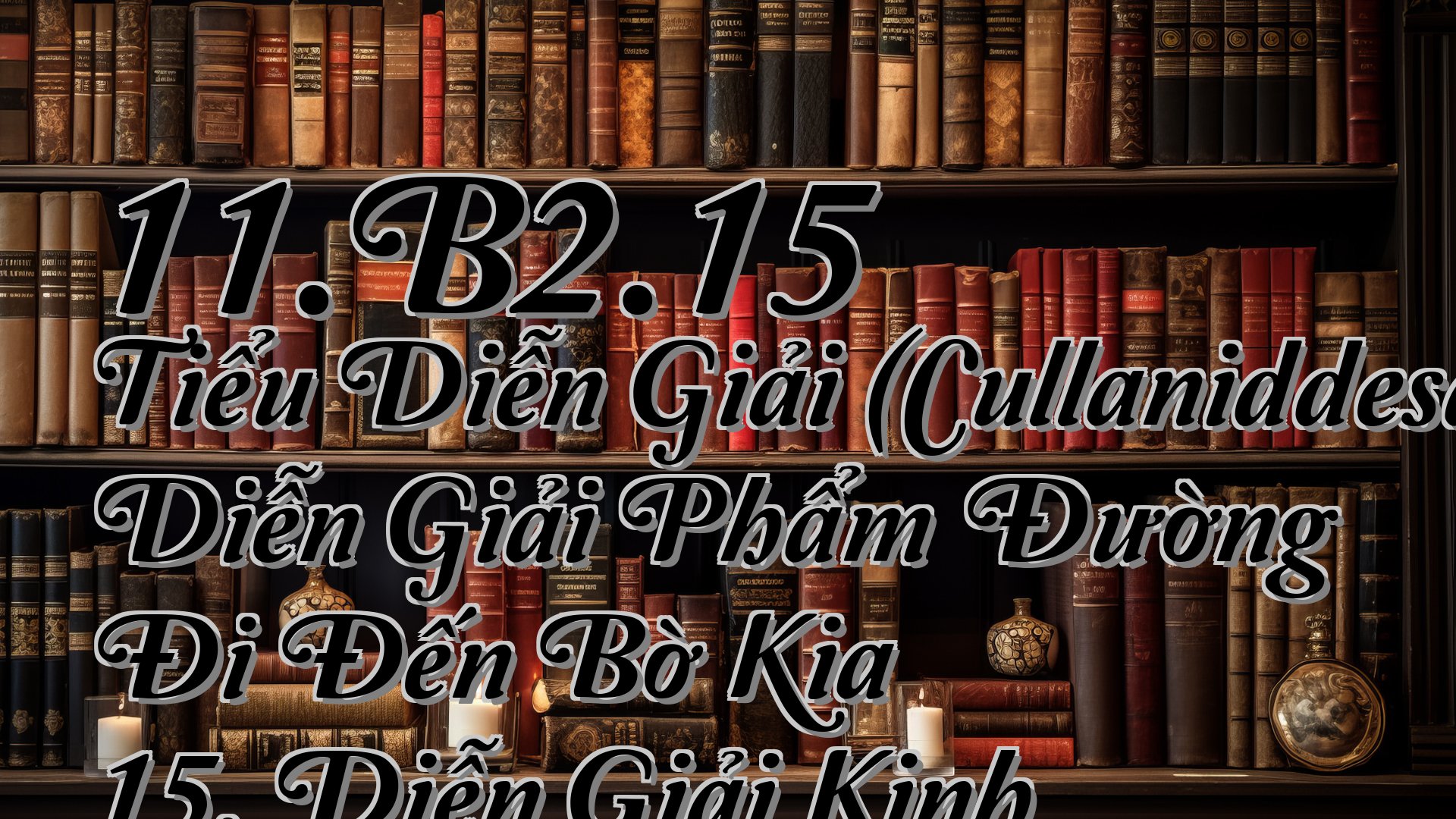 cover-11.B2.15 Tiểu Diễn Giải (Cullaniddesapāḷi) Diễn Giải Phẩm Đường Đi Đến Bờ Kia 15. Diễn Giải Kinh Mogharāja
