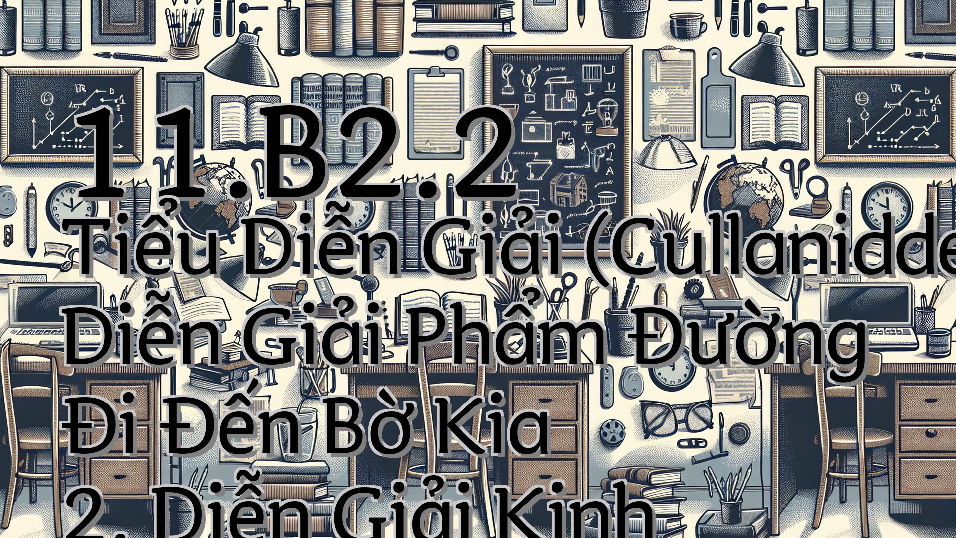 cover-11.B2.2 Tiểu Diễn Giải (Cullaniddesapāḷi) Diễn Giải Phẩm Đường Đi Đến Bờ Kia 2. Diễn Giải Kinh Tissametteyya