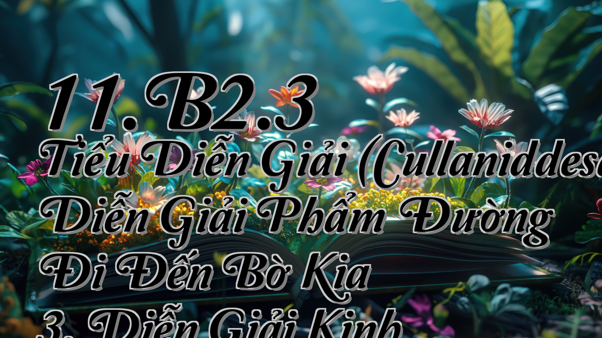 cover-11.B2.3 Tiểu Diễn Giải (Cullaniddesapāḷi) Diễn Giải Phẩm Đường Đi Đến Bờ Kia 3. Diễn Giải Kinh Puṇṇaka