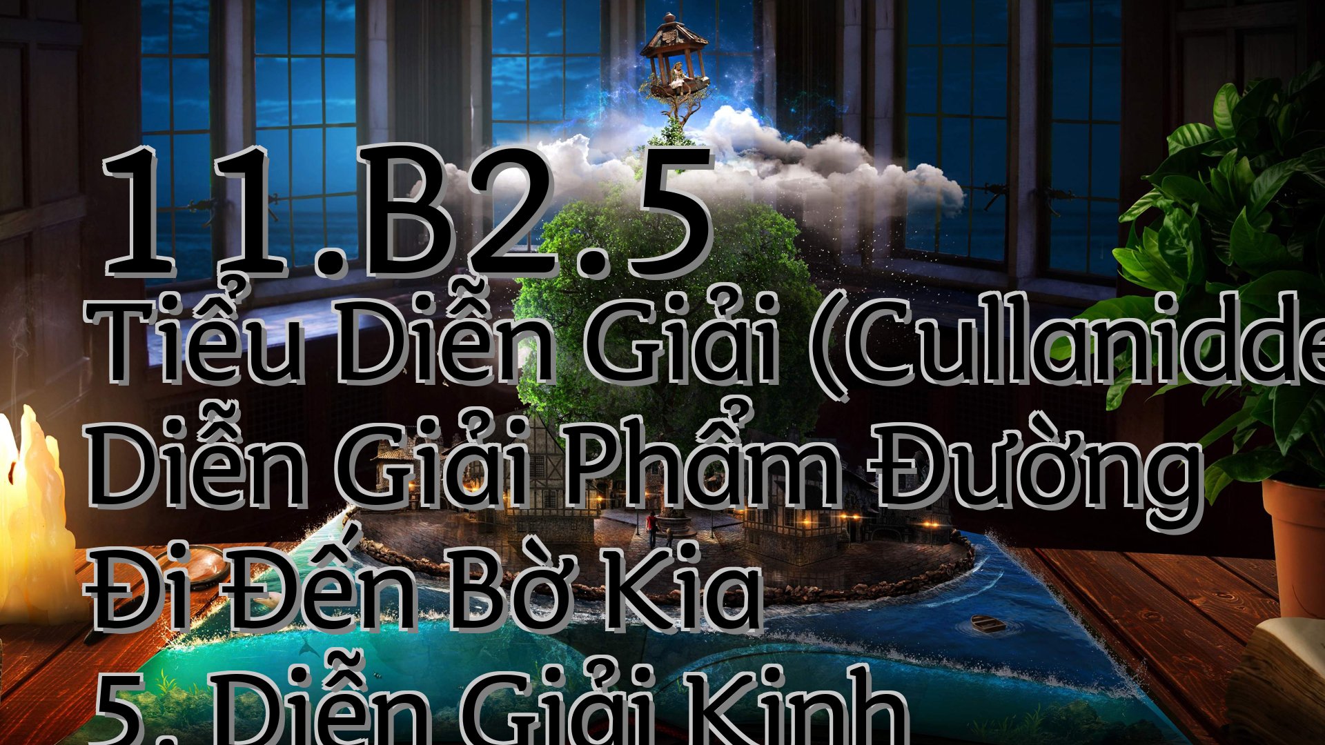 cover-11.B2.5 Tiểu Diễn Giải (Cullaniddesapāḷi) Diễn Giải Phẩm Đường Đi Đến Bờ Kia 5. Diễn Giải Kinh Dhotaka