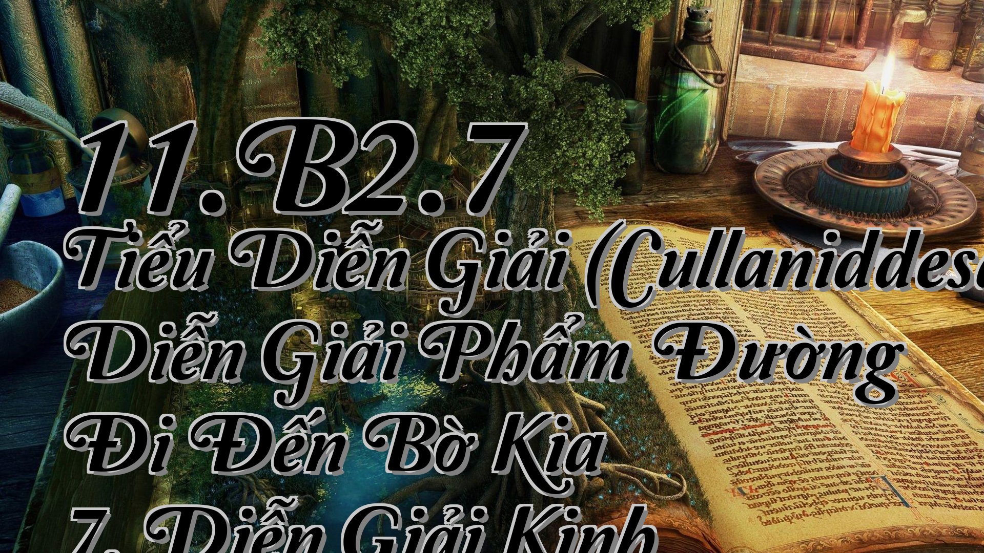 cover-11.B2.7 Tiểu Diễn Giải (Cullaniddesapāḷi) Diễn Giải Phẩm Đường Đi Đến Bờ Kia 7. Diễn Giải Kinh Nanda
