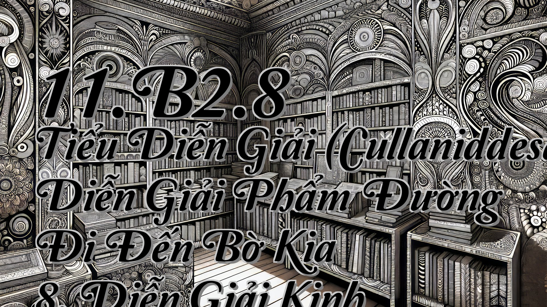 cover-11.B2.8 Tiểu Diễn Giải (Cullaniddesapāḷi) Diễn Giải Phẩm Đường Đi Đến Bờ Kia 8. Diễn Giải Kinh Hemaka