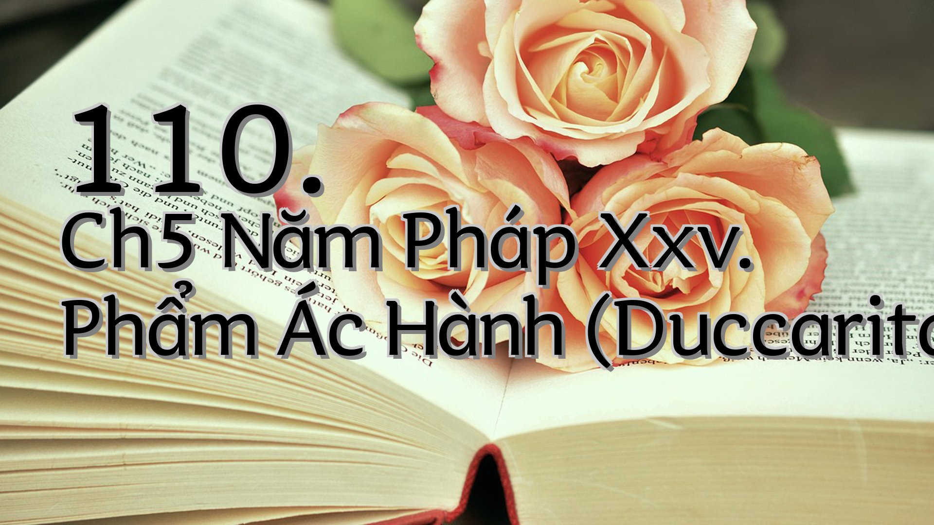 cover-110. Ch5 Năm Pháp Xxv. Phẩm Ác Hành (Duccaritavagga)