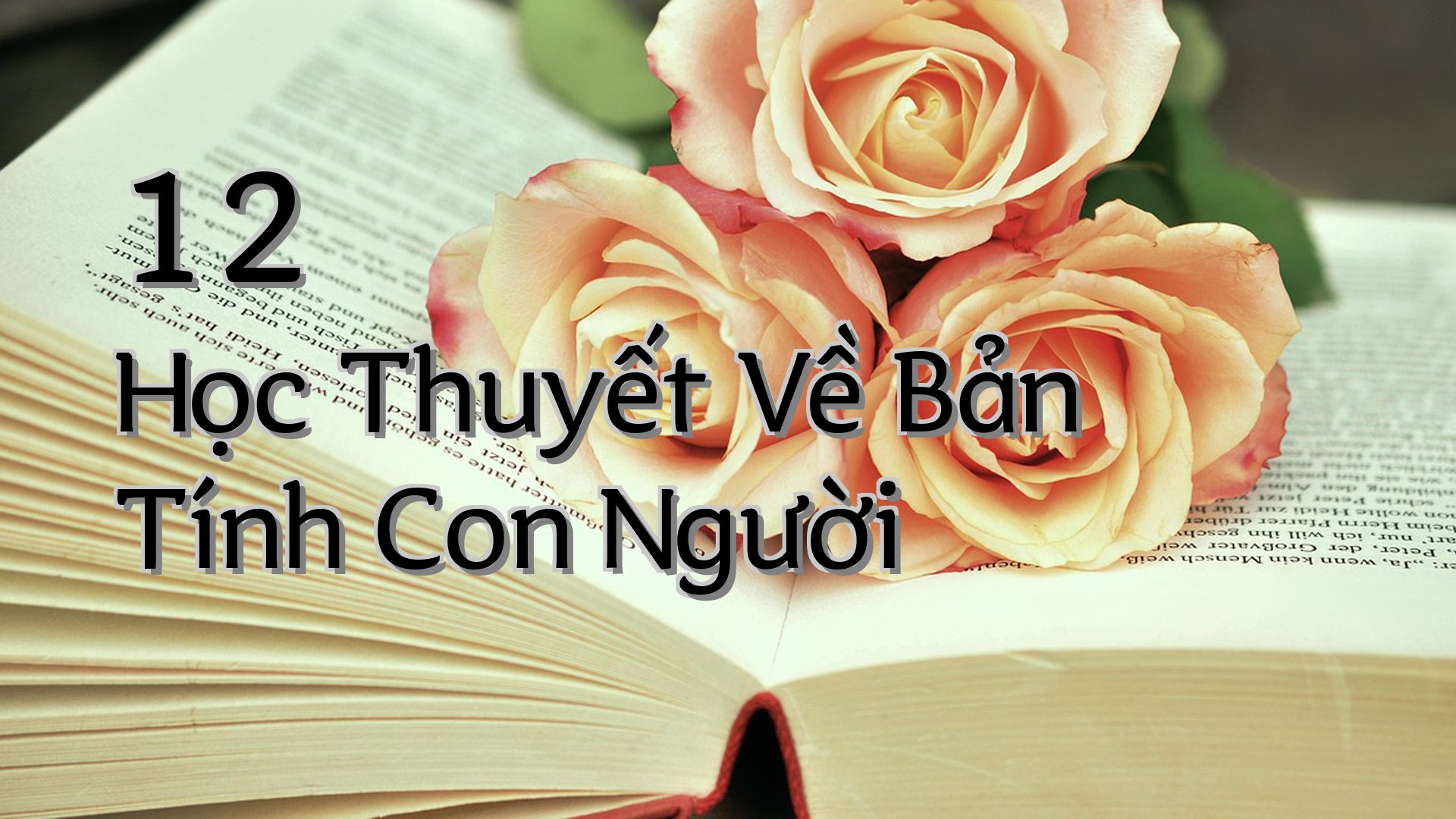 cover-12 Học Thuyết Về Bản Tính Con Người