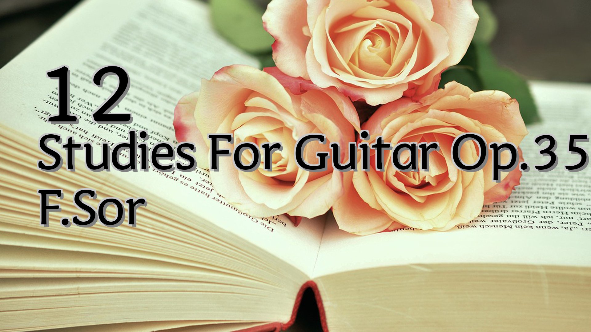 cover-12 Studies For Guitar Op.35 F.Sor