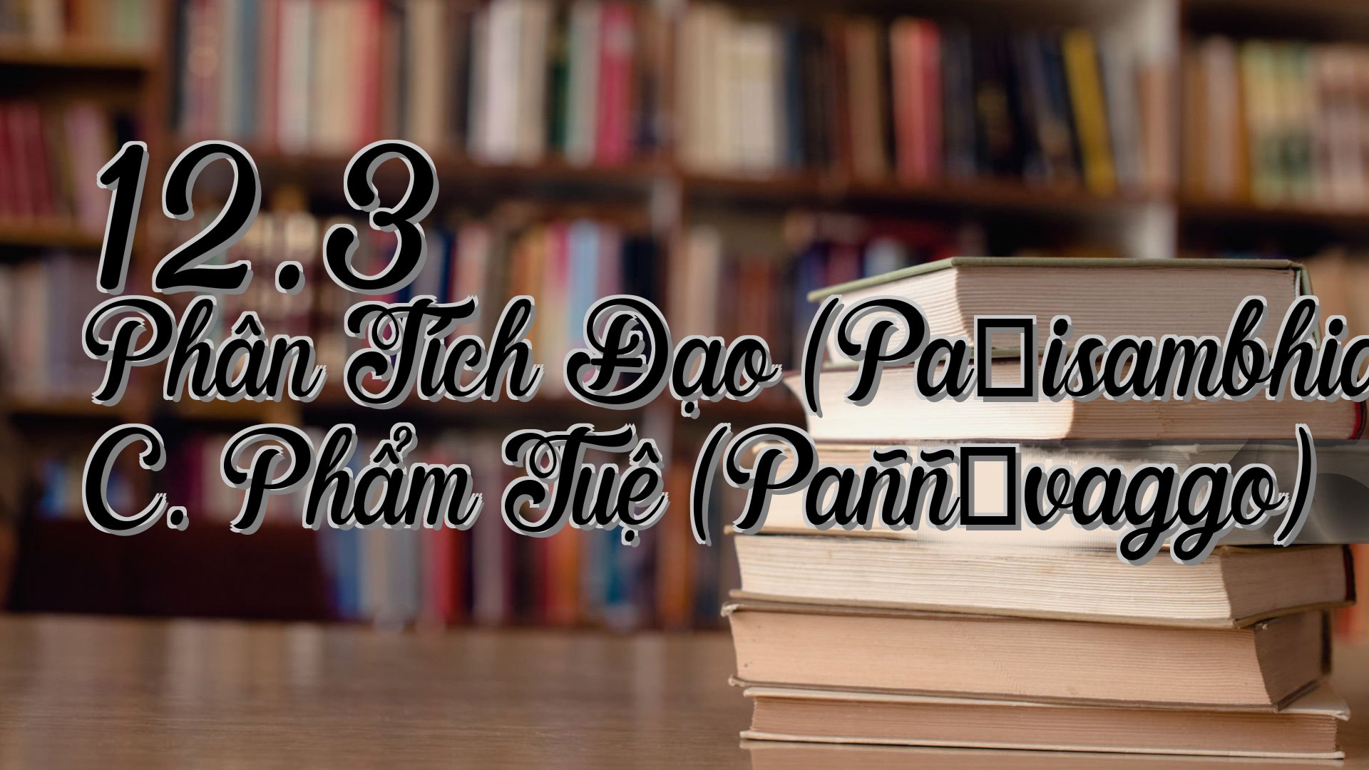 cover-12.3 Phân Tích Đạo (Paṭisambhidāmagga) C. Phẩm Tuệ (Paññāvaggo)