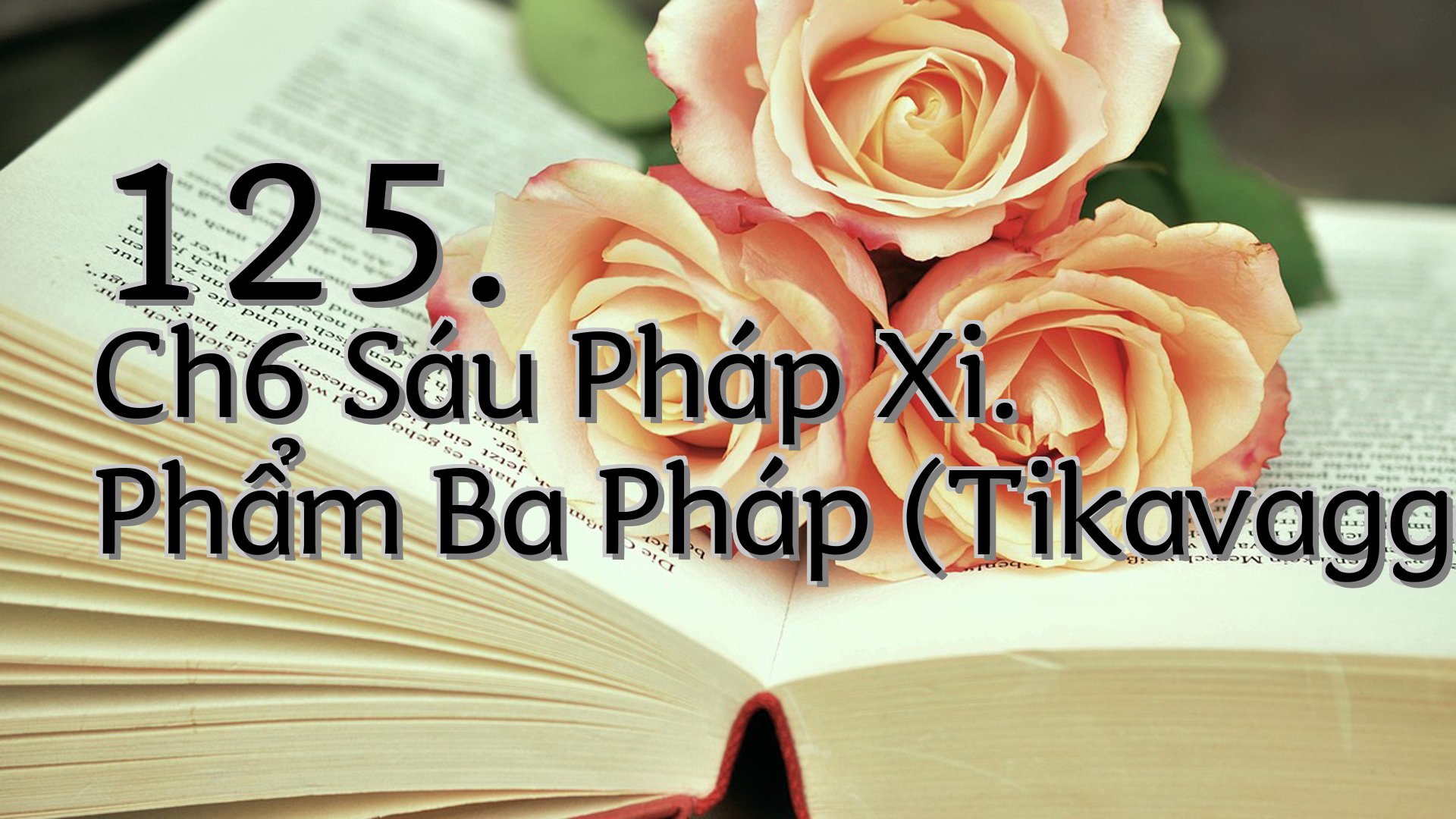 cover-125. Ch6 Sáu Pháp Xi. Phẩm Ba Pháp (Tikavagga)
