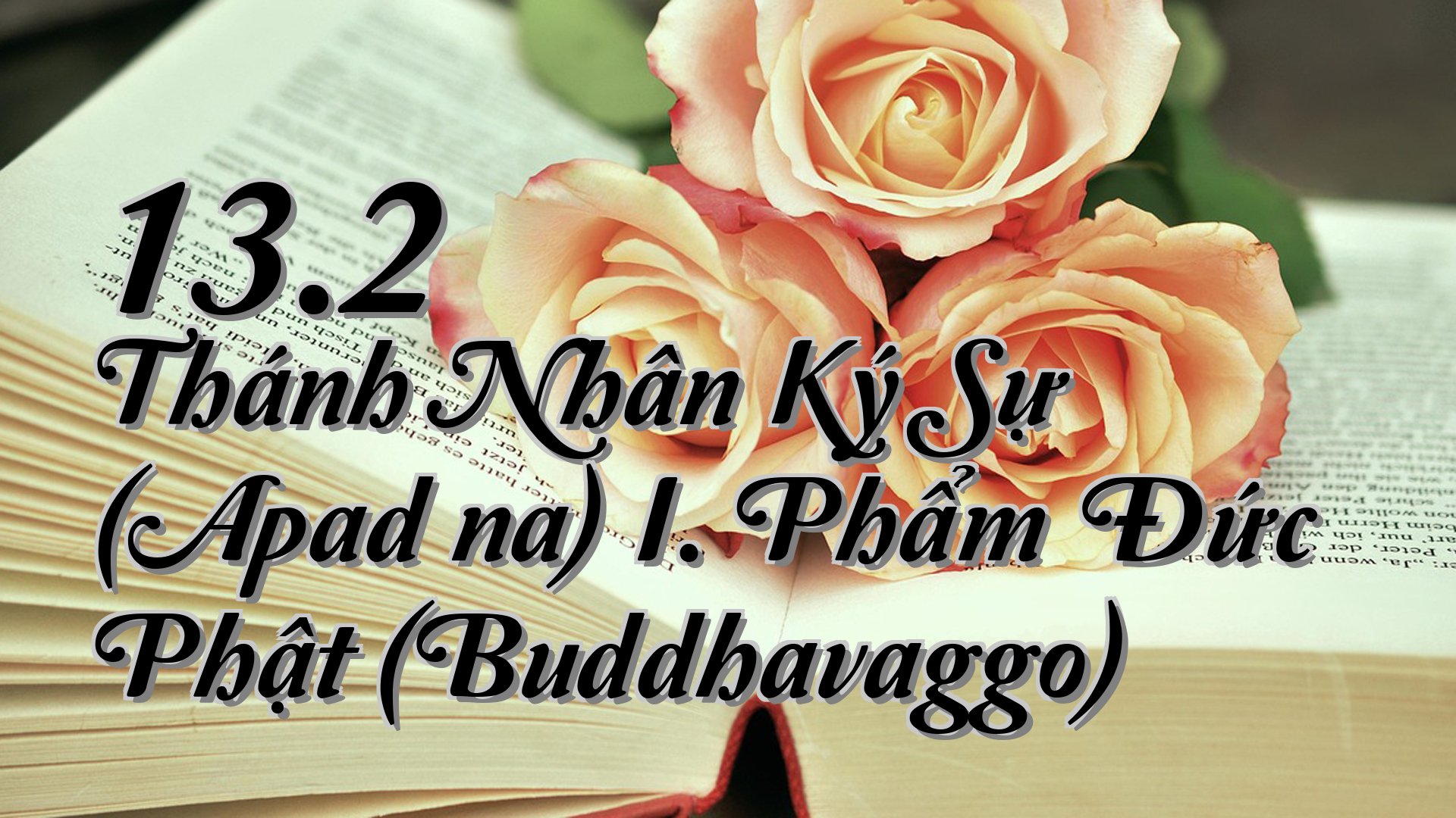 cover-13.2 Thánh Nhân Ký Sự (Apadāna) I. Phẩm Đức Phật (Buddhavaggo)