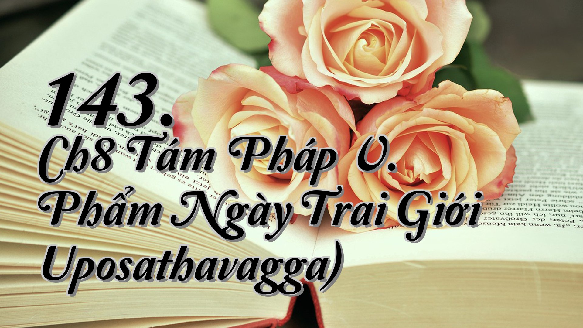 cover-143. Ch8 Tám Pháp V. Phẩm Ngày Trai Giới Uposathavagga)