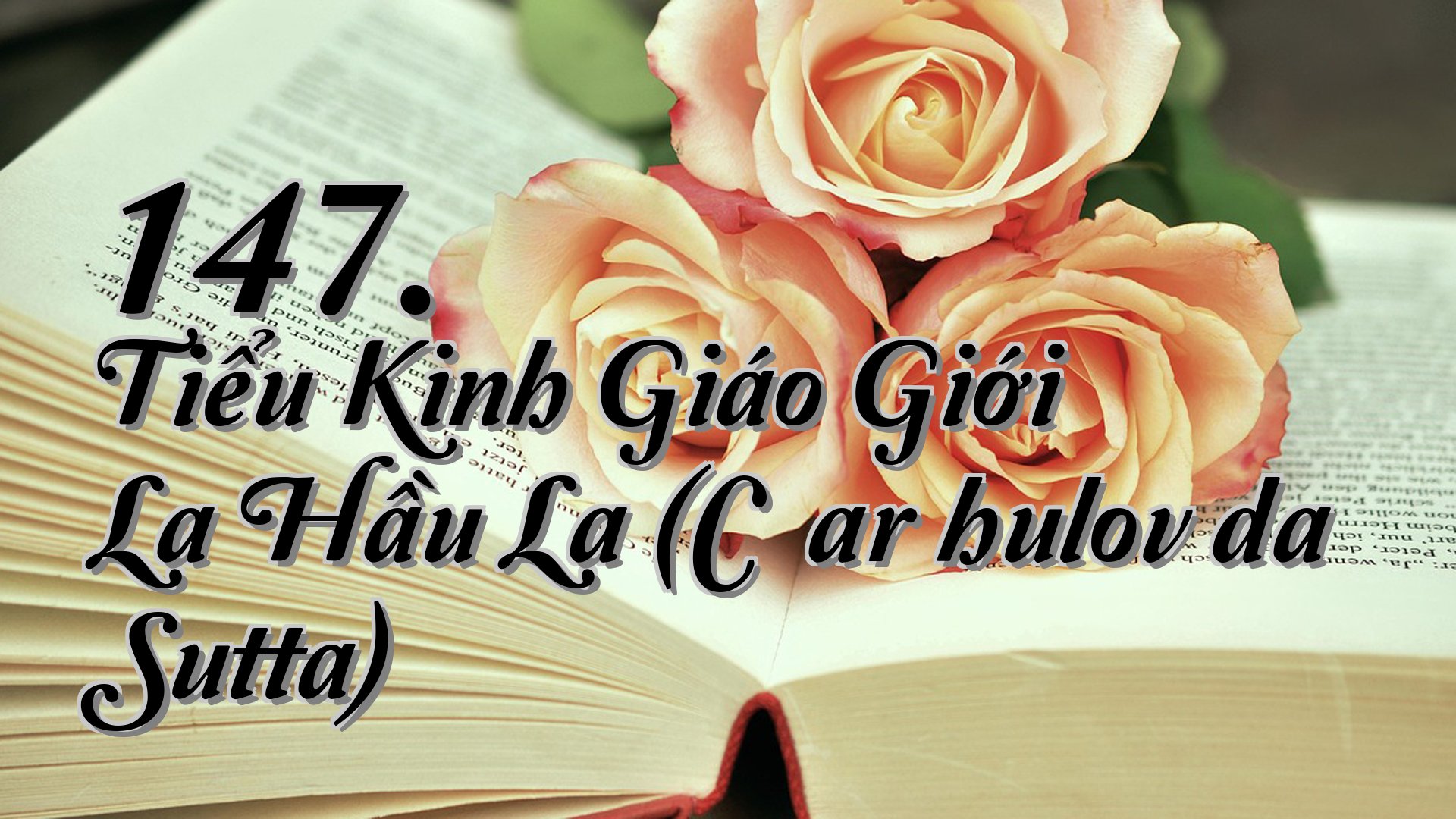 cover-147. Tiểu Kinh Giáo Giới La Hầu La (Cūḷarāhulovāda Sutta)