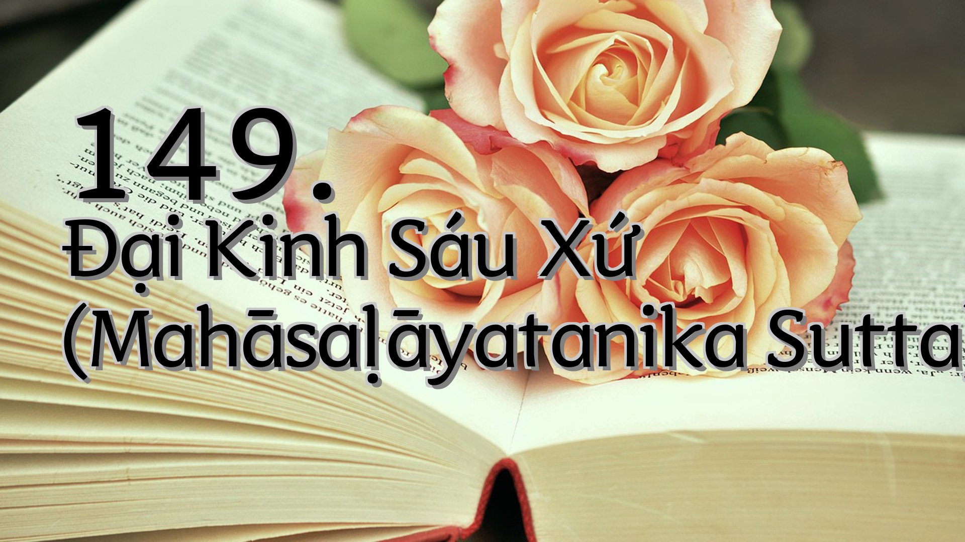 cover-149. Ðại Kinh Sáu Xứ (Mahāsaḷāyatanika Sutta)