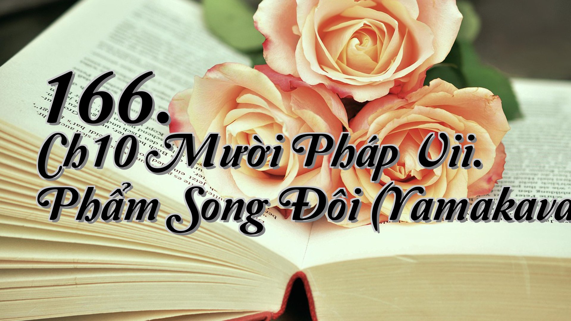 cover-166. Ch10 Mười Pháp Vii. Phẩm Song Đôi (Yamakavagga)