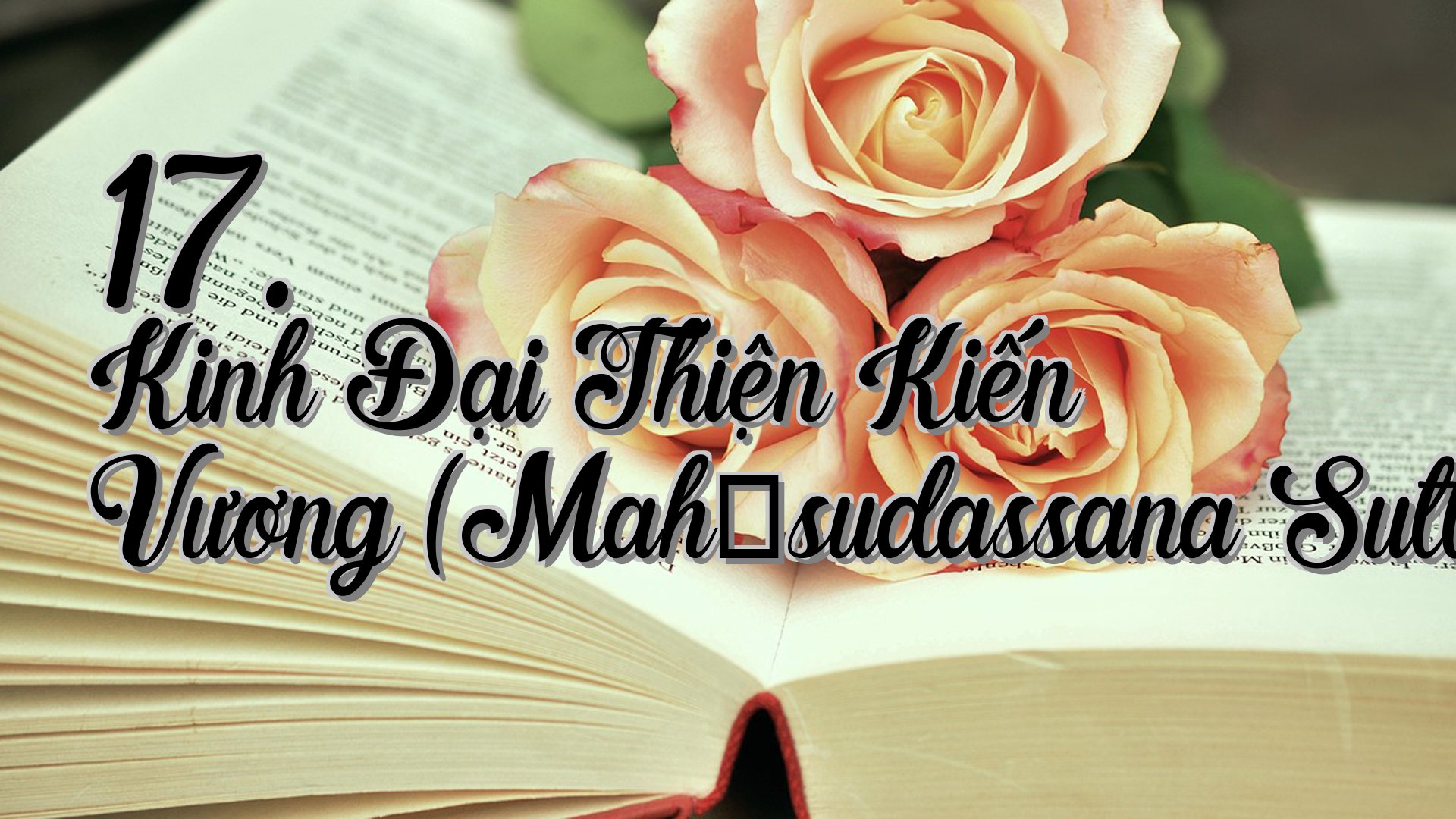 cover-17. Kinh Ðại Thiện Kiến Vương (Mahāsudassana Sutta)