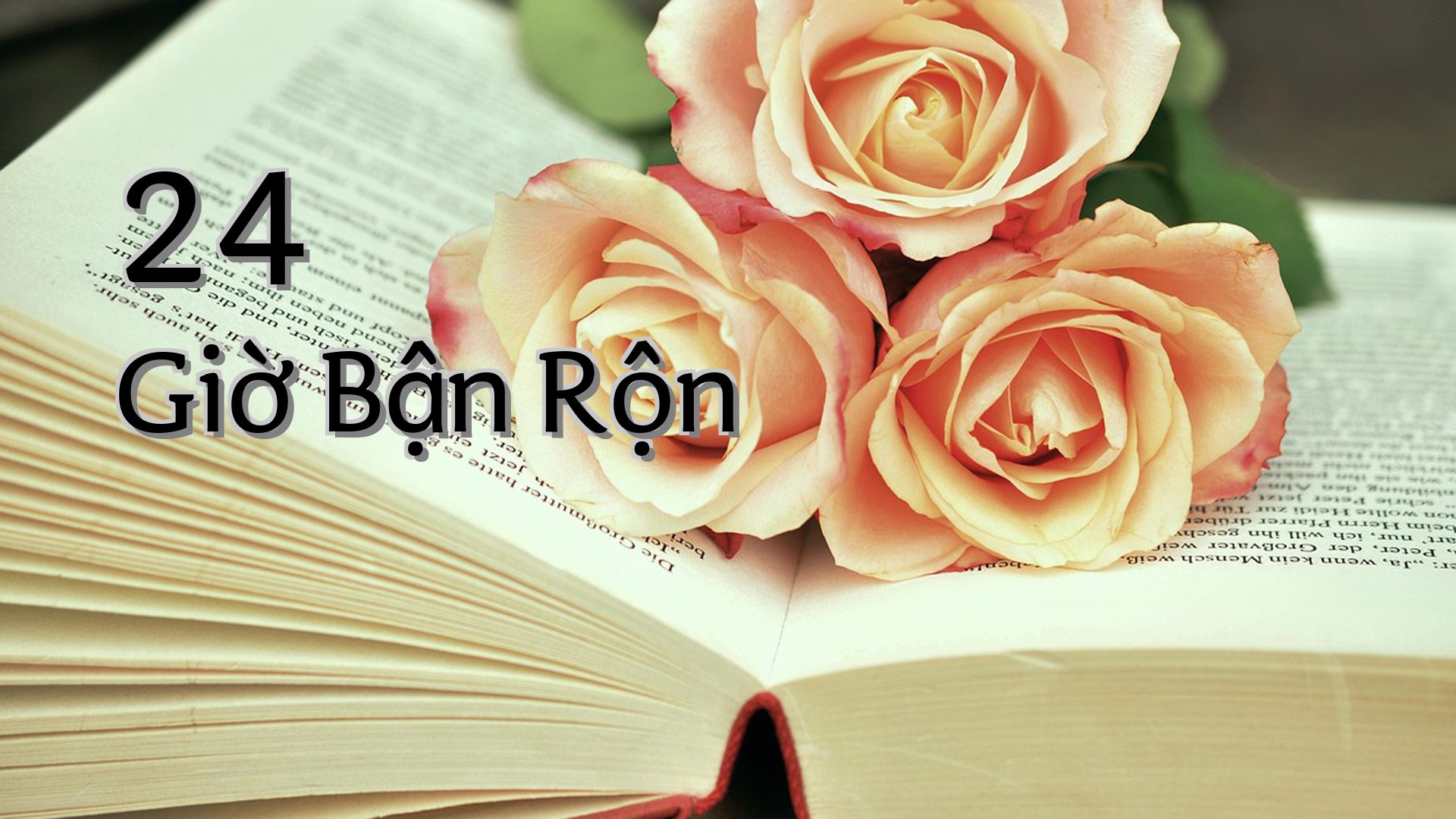 cover-24 Giờ Bận Rộn