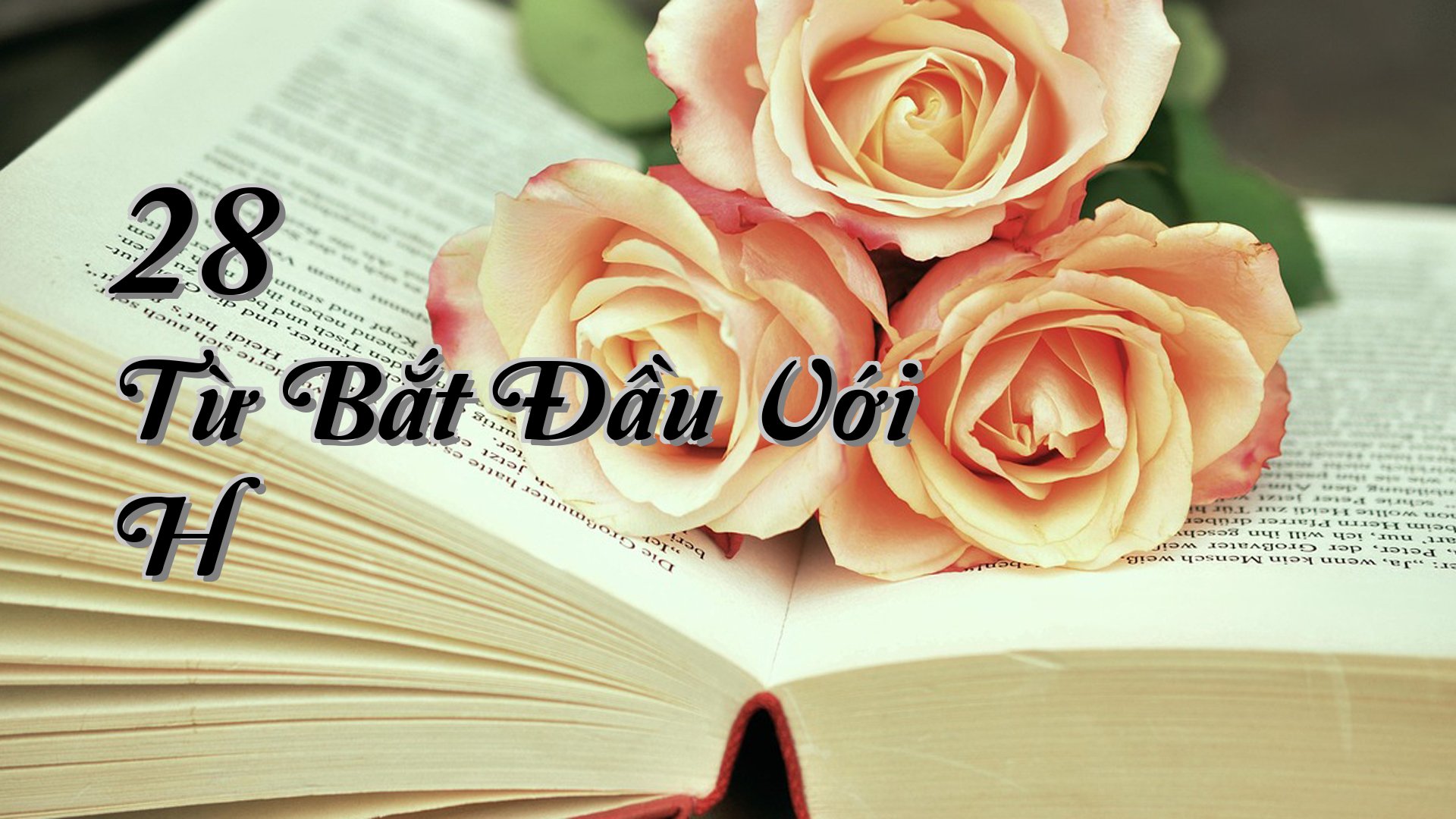 cover-28 Từ Bắt Đầu Với H